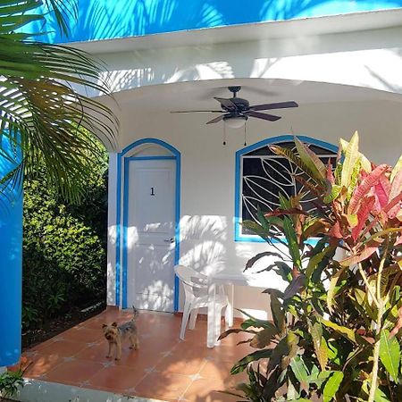 Chambre Bungalow2 Las Terrenas Ngoại thất bức ảnh